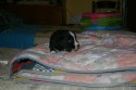 0_3961481_103663.jpg