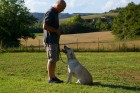 Da 1/4 di secolo BORDER COLLIE