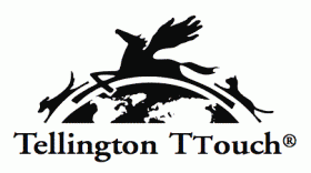 Il Tellington TTouch - BORDER COLLIE più di 20 anni
