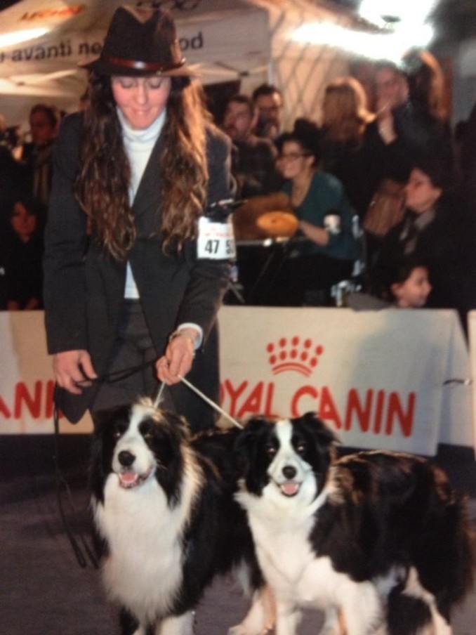 Expo Int. AR 10/02/2013 - Da 1/4 di secolo BORDER COLLIE