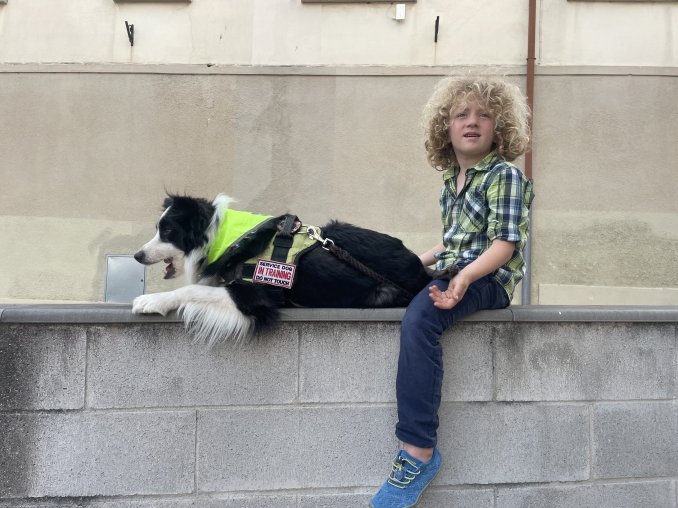  - Da 1/4 di secolo BORDER COLLIE